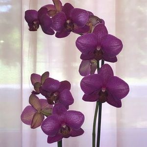 Welcome to my closet😀Offers are welcome😀